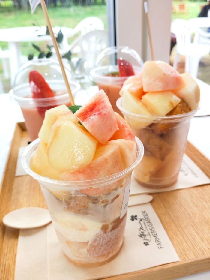 ふくしまピーチホリデイ