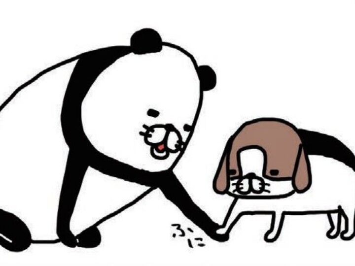 「何だろうこのかわいい生き物は」この手に感じる肉球と重み、プライスレス。【パンダと犬#30】