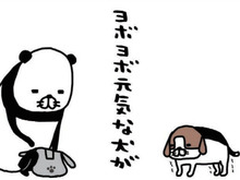 「ヨボヨボ元気」な老犬・梅吉。思わず応援しちゃう梅吉のイタズラとは…?【パンダと犬#32】