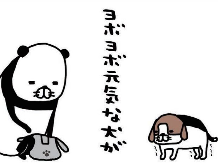 「ヨボヨボ元気」な老犬・梅吉。思わず応援しちゃう梅吉のイタズラとは…?【パンダと犬#32】