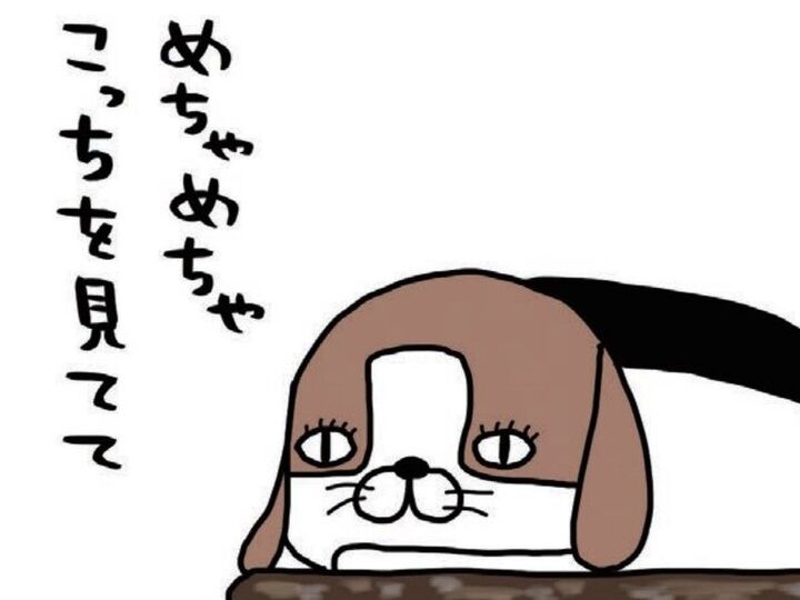 犬と過ごしていると。時間忘れがちだし、知らない間にガン見されてたりする。【パンダと犬#22】