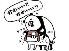 思わず感謝「サンキュー神様!」梅吉に巡り合うための道筋ならば本望です。【パンダと犬#36】