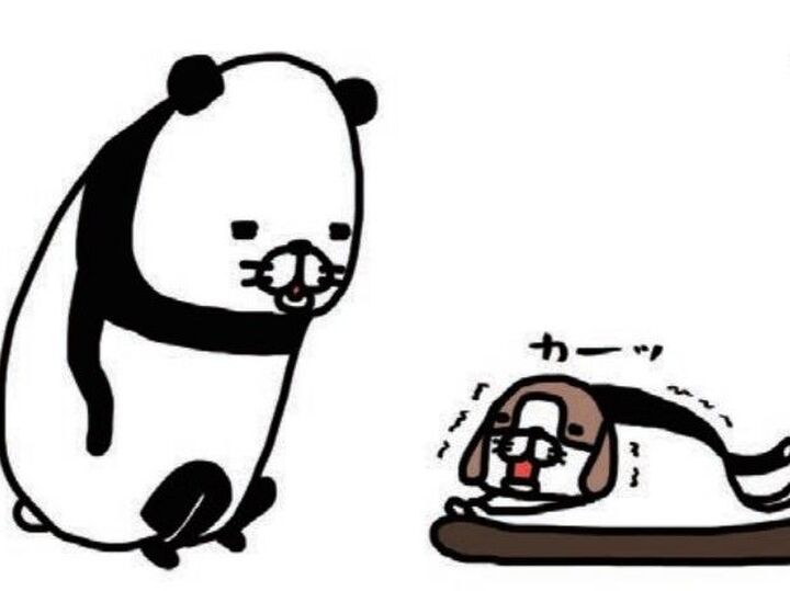 犬の寝起き。「梅ちゃん出てますよ」→すまし顔がかわいい梅吉(14歳)。【パンダと犬#38】