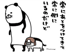 老犬・梅吉の絶妙な位置取り。「なんでそこ?」かわいくてやる気がなくなります。【パンダと犬#37】