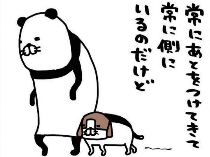 老犬・梅吉の絶妙な位置取り。「なんでそこ?」かわいくてやる気がなくなります。【パンダと犬#37】