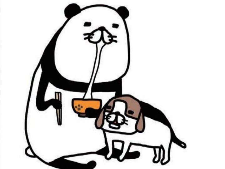 老犬・梅吉と過ごす年末からお正月。何気ないのんびりした日々が宝物なんです。【パンダと犬#25】