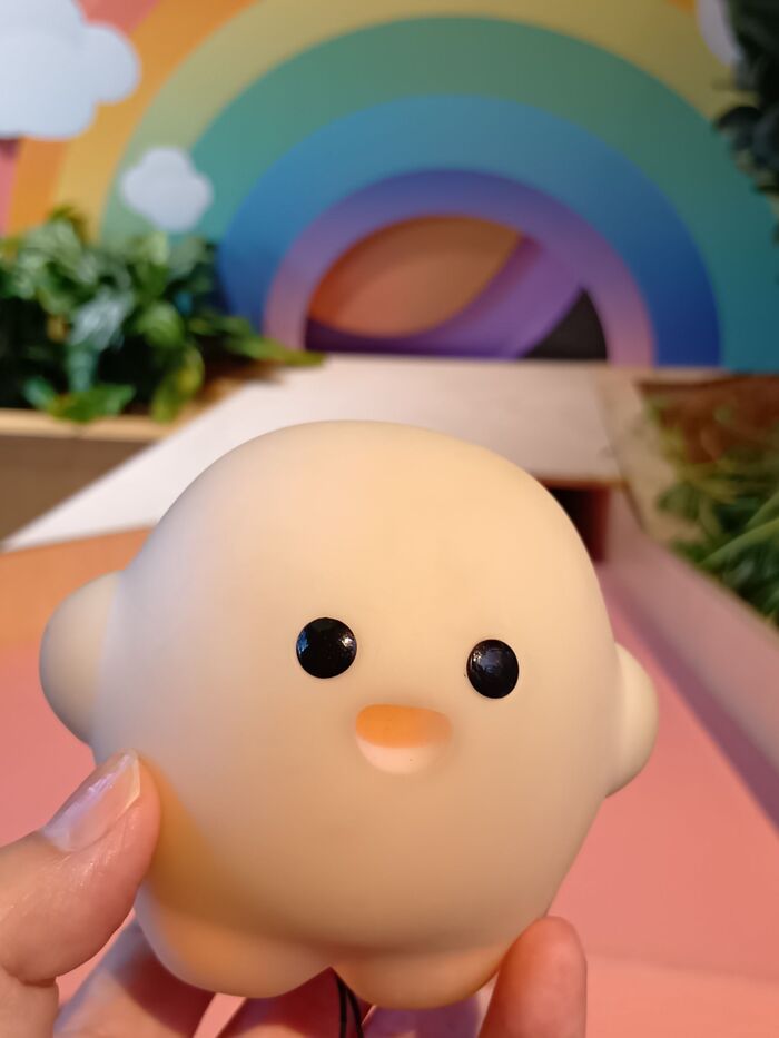 そのまま連れて帰りたいくらい、キュートなサーキュラーちゃんでした。