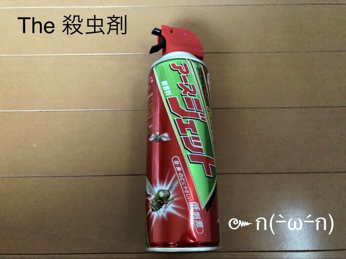 【殺虫剤目隠し】