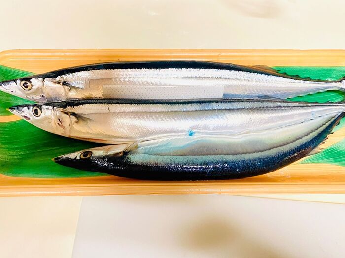 ゴミ箱の蓋を開けた時に生臭い!→即解決