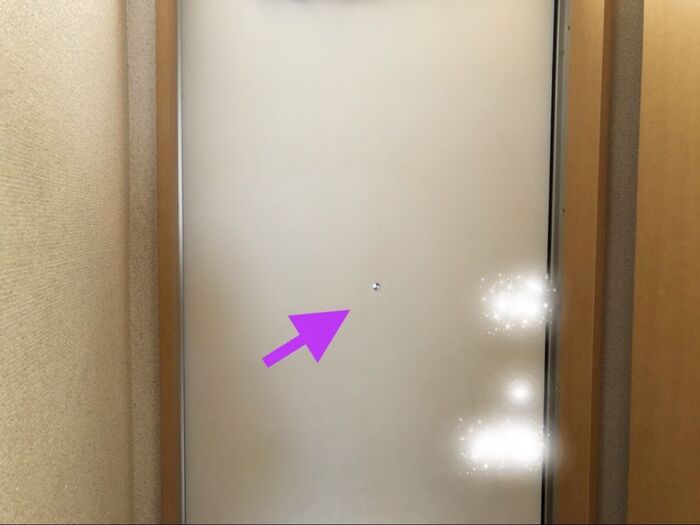 玄関になります