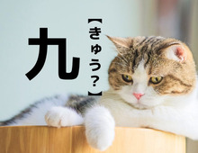 【九】なんて読む?「きゅう」でも「く」でもありません。由来を知ると…なるほど~!!【難読苗字クイズ】