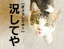 【況してや】なんて読む?「きょうしてや~」ではありません!【意外と知らない漢字クイズ】