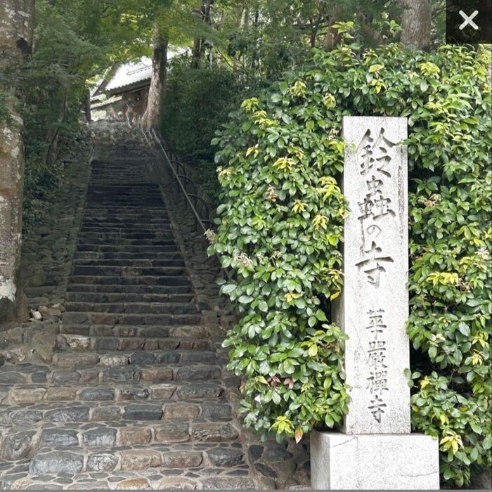 【京都・神社仏閣】一年中鈴虫が鳴く寺へ