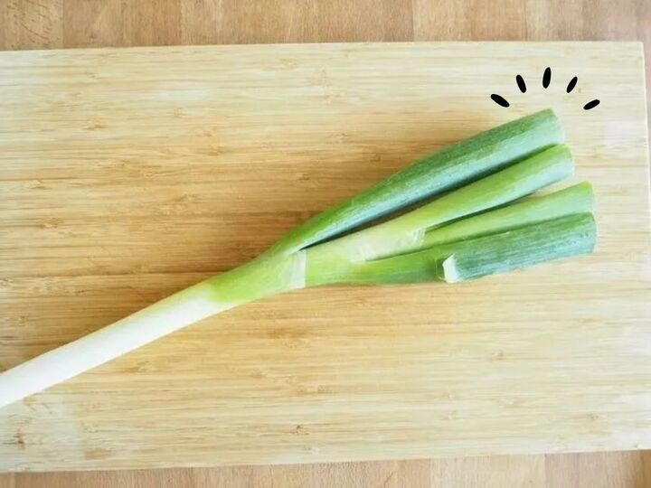「長ネギの青い部分」捨てたらソン!硬いところが激ウマに変わる簡単ワザ♡