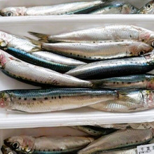 天然魚の手開きに挑戦!子どもの食べっぷりに感激!