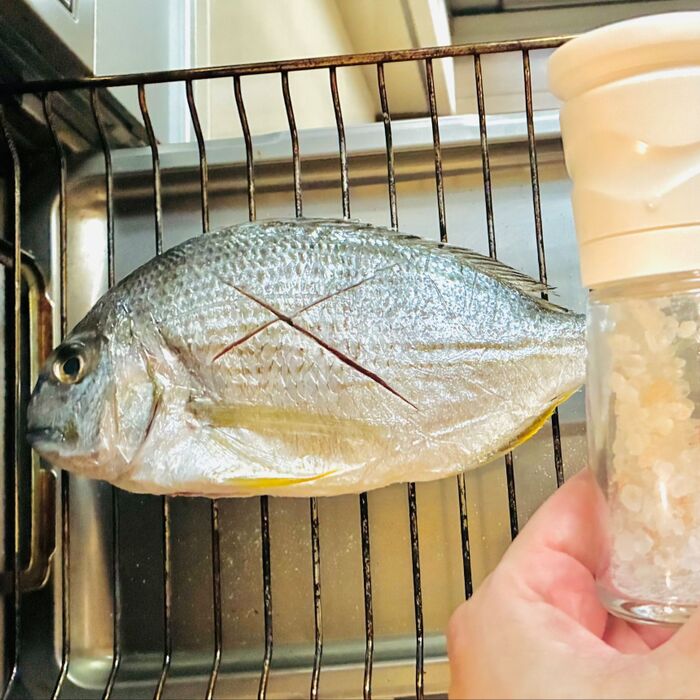 【そういうことだったのかー!】美味しい天然魚の未来「安くて美味しい魚を楽しんじゃえ!」