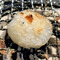 もちもち食感の白玉!炙ると新食感!みたらし白玉!