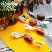 植物性の材料で作るみりん生キャラメル