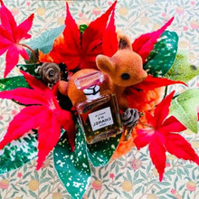 ちょっとおしゃれに!奈良の可愛い鹿ちゃんをイメージして〜