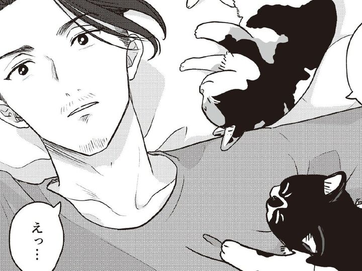 今までは遠巻きの憐憫だった。でも今は違う。「ちゃちゃっと救ってくるわ!」【借金1000万作曲家の人生を変えてくれた猫の話#4】