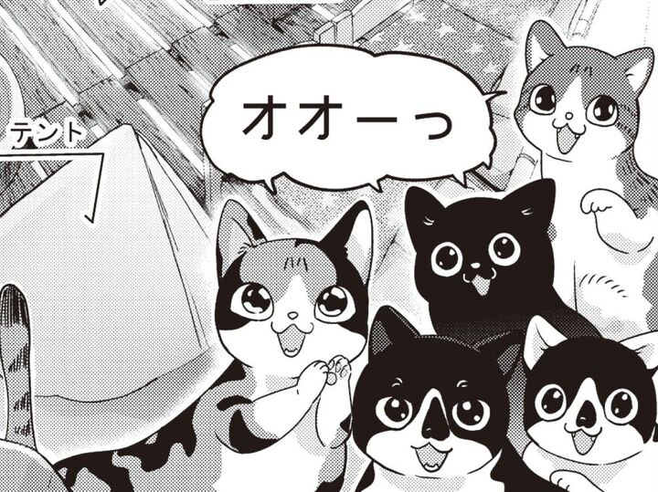 猫5匹。遊べるスペースをDIYしたら、ハチャメチャに!?あわや失敗かと思いきや…【借金1000万作曲家の人生を変えてくれた猫の話#9】
