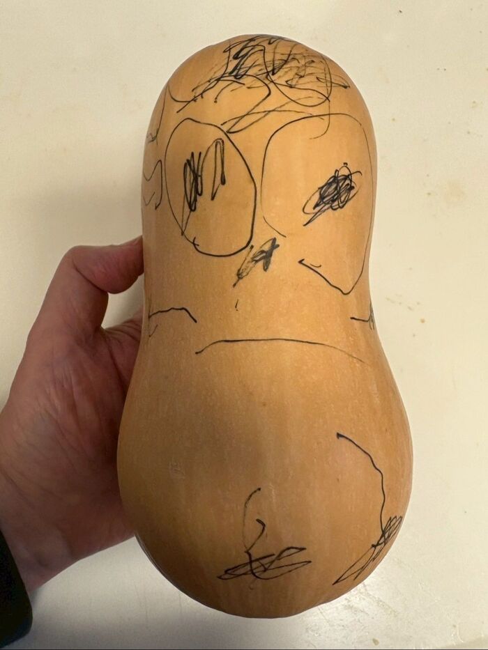 こんなのもらいました!