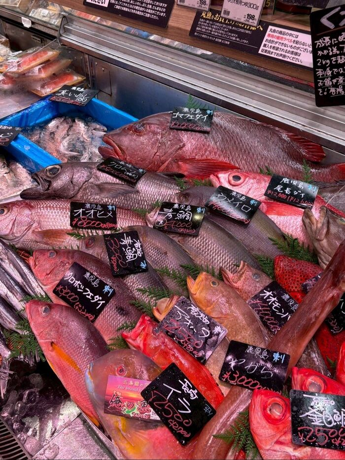 大きな魚は半身でも売ってもらえるので売り場の方に相談できます。