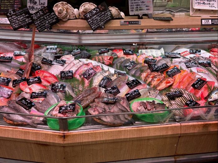 つくばで天然魚クエスト!