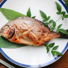 天然魚クエスト!冷凍するとどうなる? ヘダイを丸ごと塩麹焼き