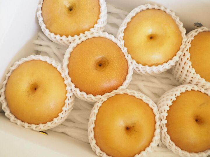 梨好きさん集合〜!箱買いしてもシワシワにさせない♪最後の1個まで“シャキ甘”キープする保存法