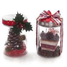 ビンの中の「キュートなクリスマス」です~