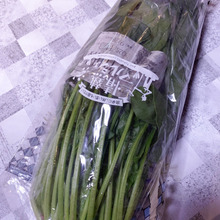 ほうれん草、小松菜これで長持ち