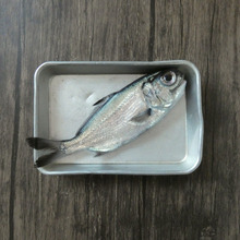 キンメダイとひと文字違いなのに全く別物?初めて食べる「ギンメダイの塩焼き」