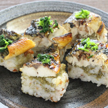 【天然魚クエスト】地魚で知る海の豊かさ