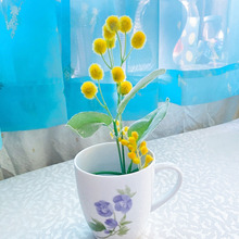 ただ使うにはもったいない!あの・素敵なマグカップで春のインテリア