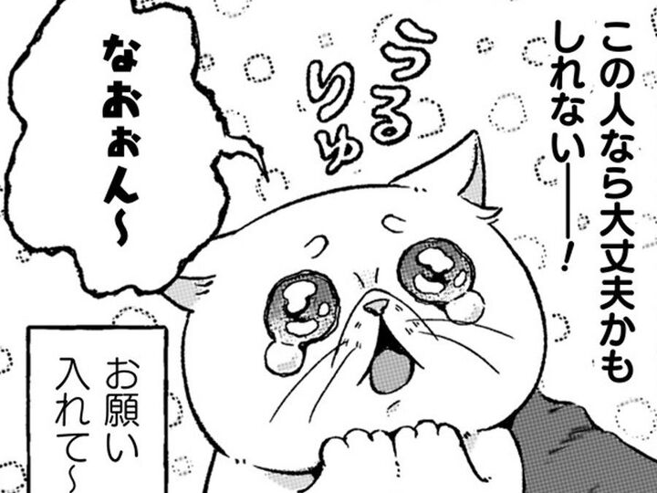 必死のお願いもむなしく、荷馬車に放り込まれた私。行きついた先に待っていたのは…?【根暗騎士による溺愛満喫中のブサ猫、実は聖女です!#17】