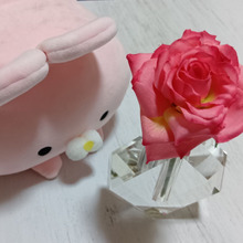 正直110円に見えない~! 100均で高見えローズを見極めるコツとわが家の飾り方!