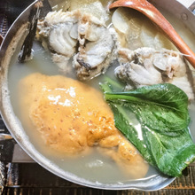 体重5.5kg!鍋壊し!鰍鍋!大きな肝とアラの旨味たっぷり!カジカ味噌鍋!雑炊も絶品!