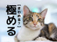 【極める】の意外な読み方知ってる?「きわめる」ではないですよ【読めそうで読めない漢字クイズ】