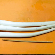 この野菜ご存知ですか?芋の新芽!特製ピリ辛酢味噌和え・きんぴら・お浸し!