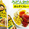 かけるだけでカレー味!?新ジャンルの"うどんたれ"