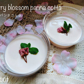 甘さはあんこの柔らかさ。桜咲くパンナコッタ