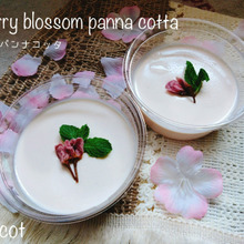 甘さはあんこの柔らかさ。桜咲くパンナコッタ