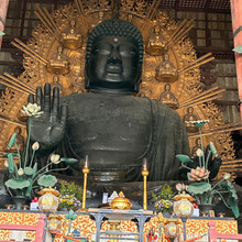 20年ぶりに奈良の大仏、見上げてきました!