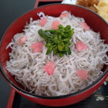 ご飯にのせるだけ!ふんわりしらす丼