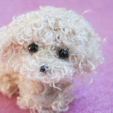 【ショート動画】セリアのくるくるモールで作るトイプードルの作り方