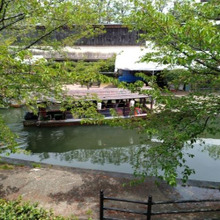 新緑の酒蔵【京都伏見】