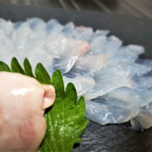 好きな食べ物はなんですかぁ?