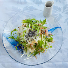 居酒屋風「新玉ねぎと水菜の無限サラダ」