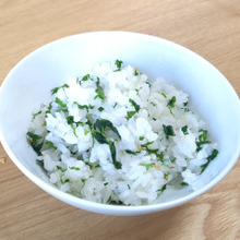 【春の味!】ウコギご飯の素